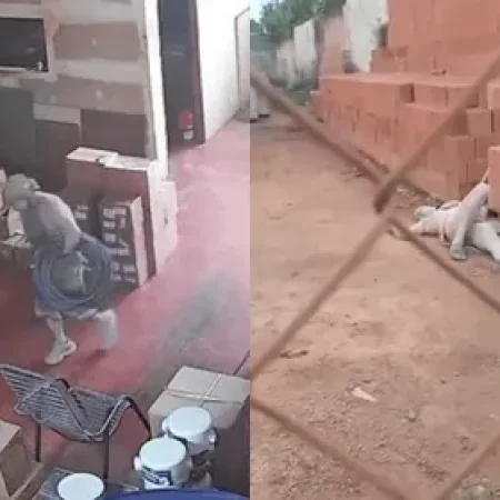 LADRÃO DESMAIA APÓS SER ATACADO POR CÃO EM TENTATIVA DE FURTO