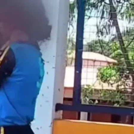 MENINA ATACADA POR ABELHAS EM MG ESTÁ ESTÁVEL, MAS SEM PREVISÃO DE ALTA