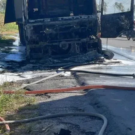 INCÊNDIO DESTRÓI CAMINHÃO ÀS MARGENS DA AL-101