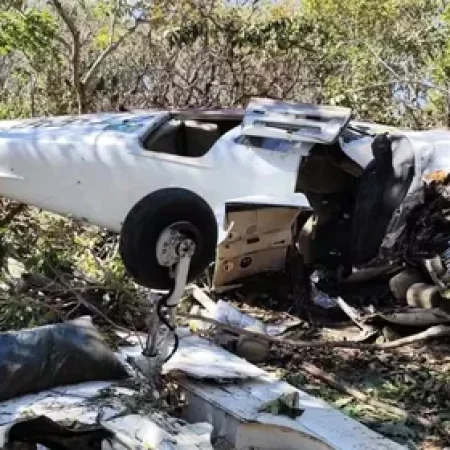 AVIÃO DE PEQUENO PORTE CAI E MATA MÉDICO E ESPOSA; PILOTO SOBREVIVEU