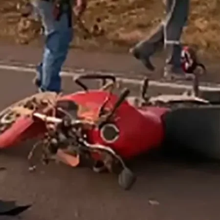 SERVIDORA PÚBLICA MORRE EM ACIDENTE APÓS ATINGIR CAVALO SOLTO NA ESTRADA