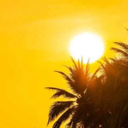 ÓRGÃO MANTÉM ALERTA CLIMÁTICO EM 16 CIDADES NO INTERIOR DE ALAGOAS; VEJA QUAIS