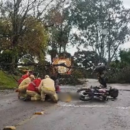 MOTOCICLISTA FICA FERIDO APÓS BATER EM ÁRVORE