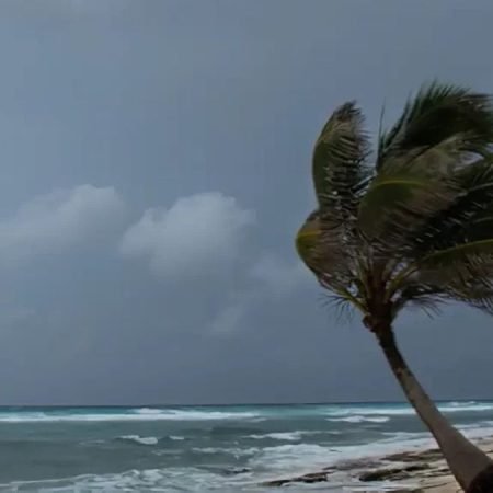ALAGOAS TEM ALERTAS DE VENDAVAL E BAIXA UMIDADE PARA ESTE FIM DE SEMANA