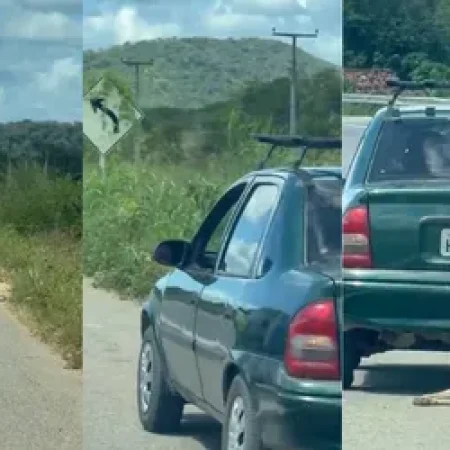 VÍDEO MOSTRA CACHORRO SENDO ARRASTADO POR CARRO NA RODOVIA BR-222, NO CEARÁ