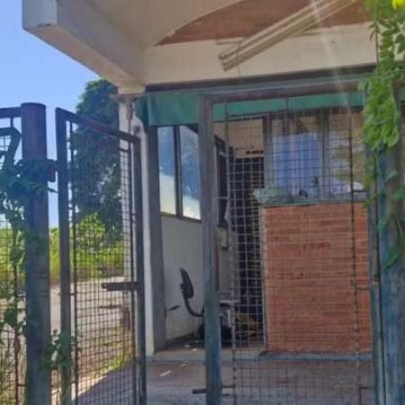 DOIS VIGILANTES SÃO ENCONTRADOS MORTOS A TIROS EM USINA DESATIVADA