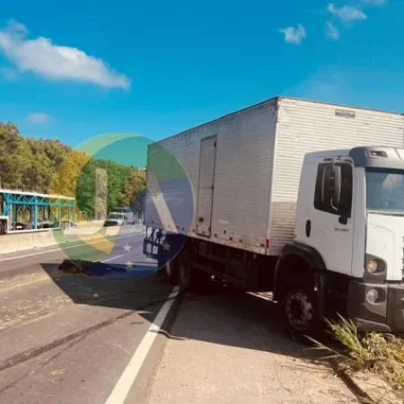 MOTORISTA COLIDE EM CAMINHÃO-BAÚ CONTRA BOI SOLTO NA AL-110