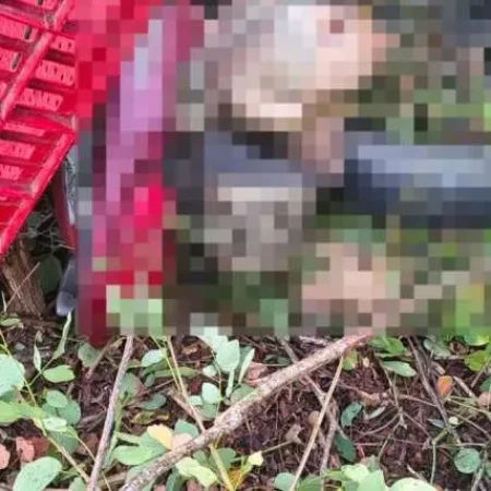 MOTORISTA COM CARGA DE FRANGOS É ENCONTRADO MORTO ÀS MARGENS DE RODOVIA